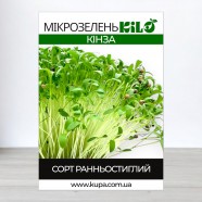 Семена микрозелень Кинза, 0,1кг